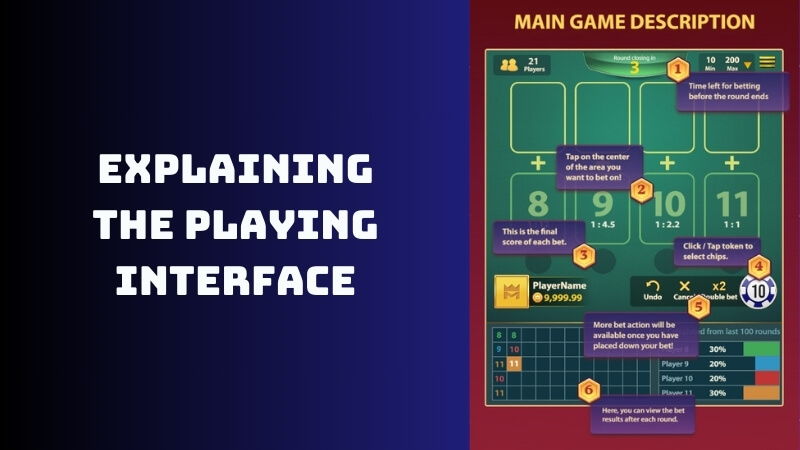 Explaining the Playing Interface