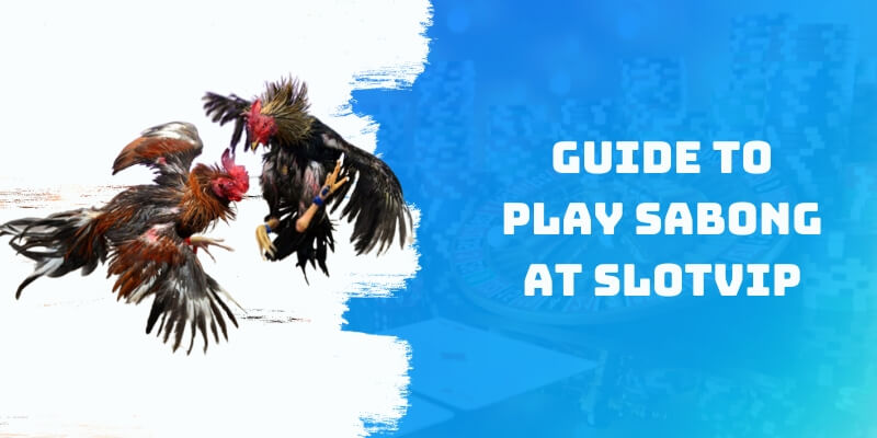 Guide to play Cockfighting at Slot Vip Casino