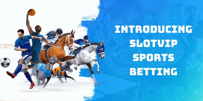 Introducing Slotvip Sports Betting