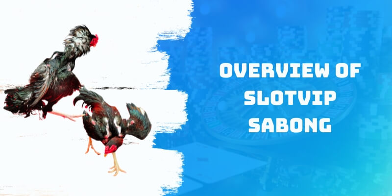 Overview of Slotvip Cockfighting