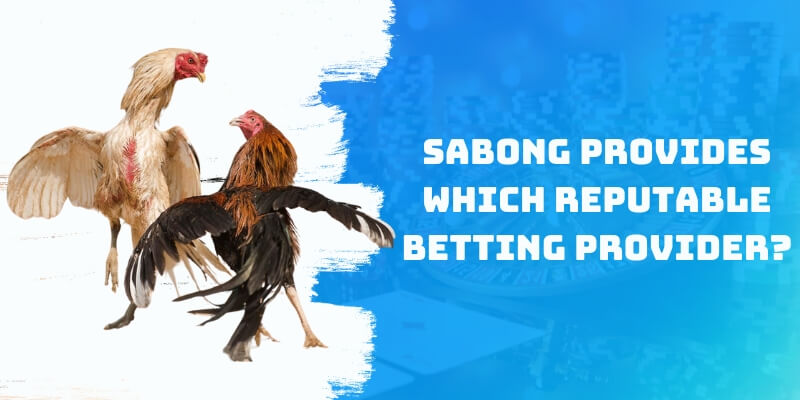 Cockfighting provides which reputable betting provider?